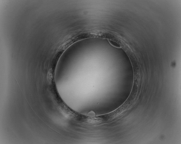 X0000091560707200708171326