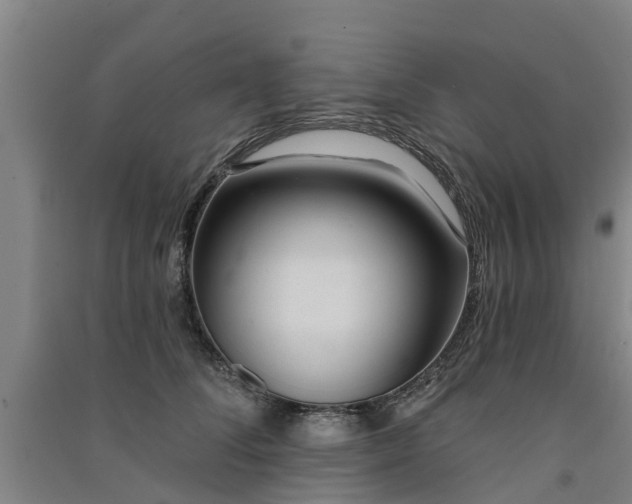 X0000091560708200708171325