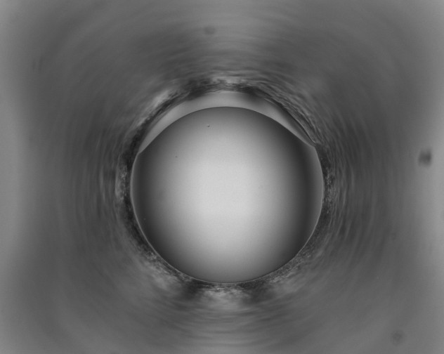 X0000091560712200708171325