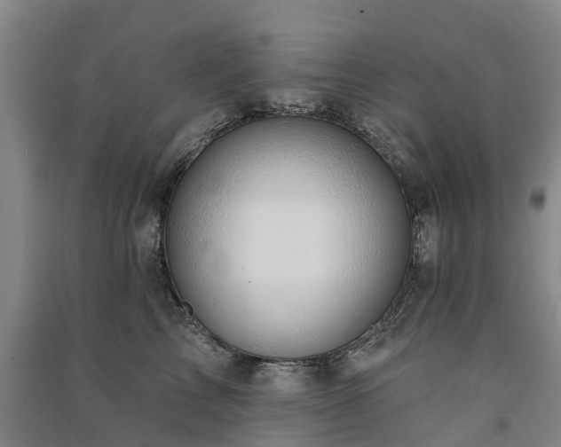 X0000091560713200708171325