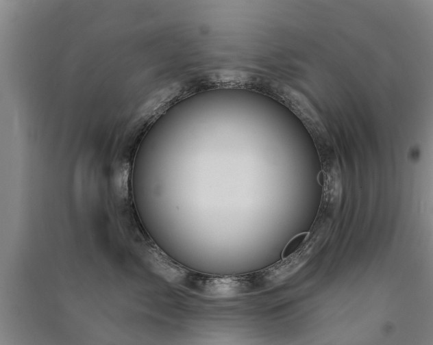 X0000091560717200708171325