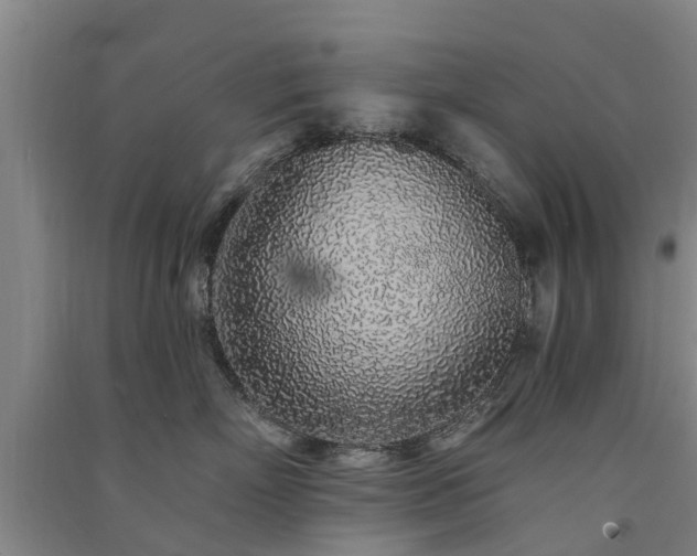 X0000091560718200708171325