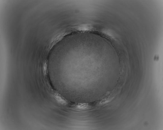 X0000091560720200708171325