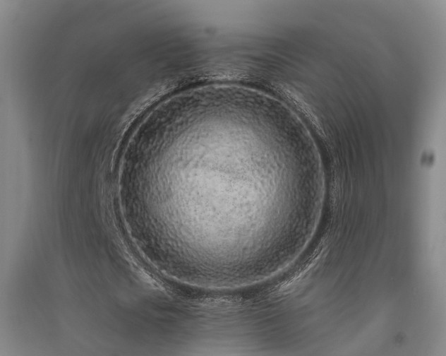 X0000091560721200708171325