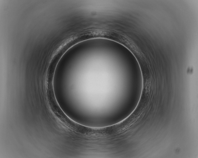 X0000091560722200708171325