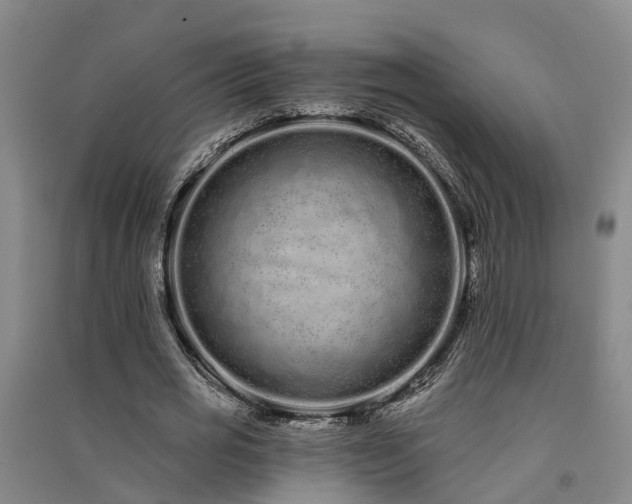 X0000091560725200708171325