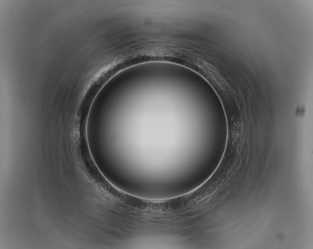 X0000091560727200708171325