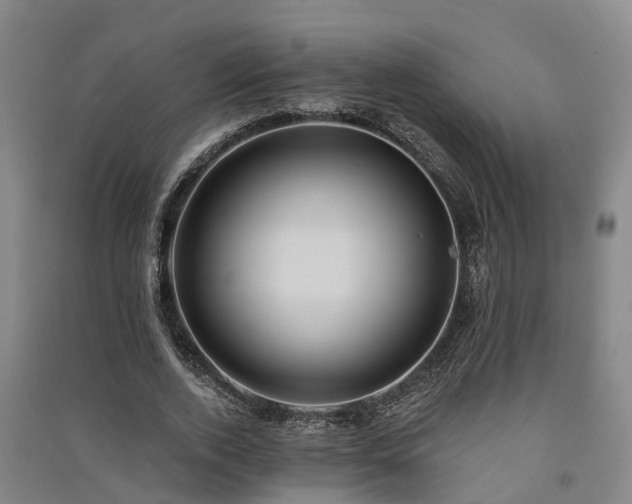 X0000091560728200708171325