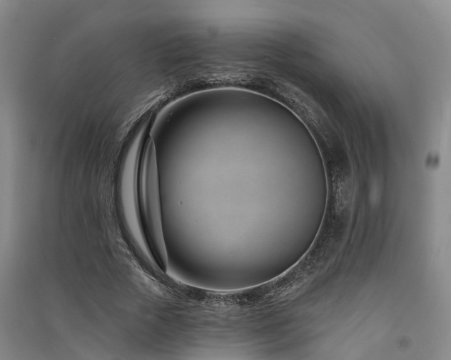 X0000091560729200708171325