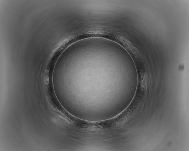 X0000091560731200708171325