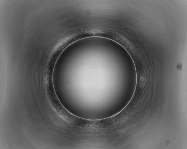 X0000091560732200708171325