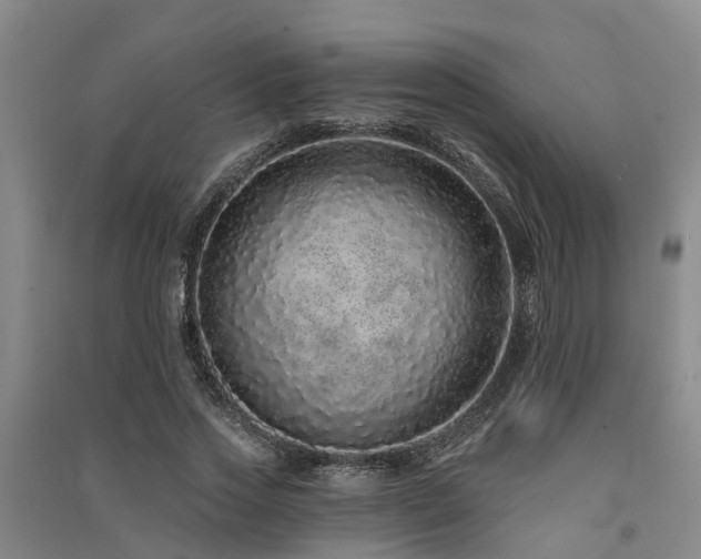 X0000091560733200708171325