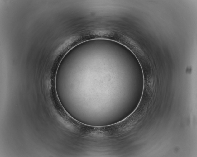 X0000091560734200708171325