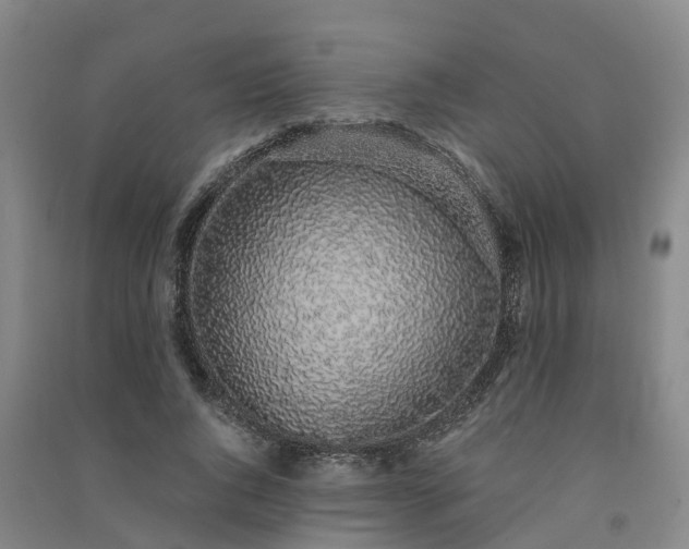 X0000091560736200708171325