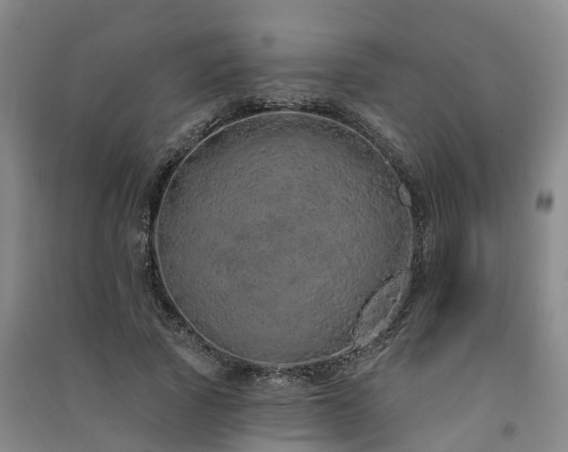 X0000091560737200708171325