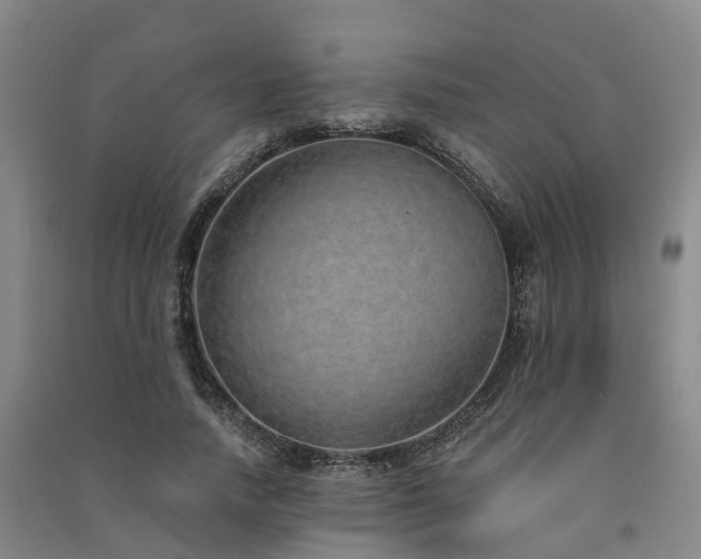 X0000091560738200708171325