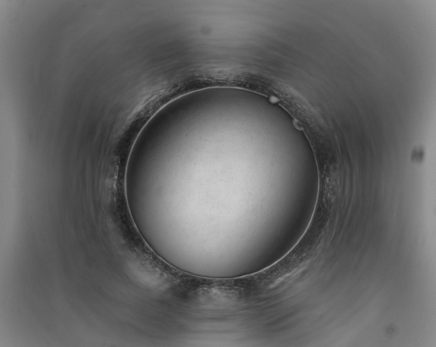 X0000091560739200708171325