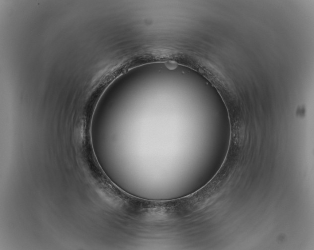 X0000091560740200708171325