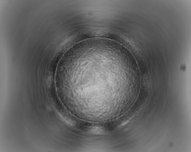 X0000091560741200708171325