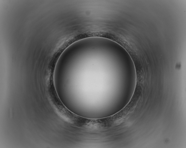 X0000091560742200708171325