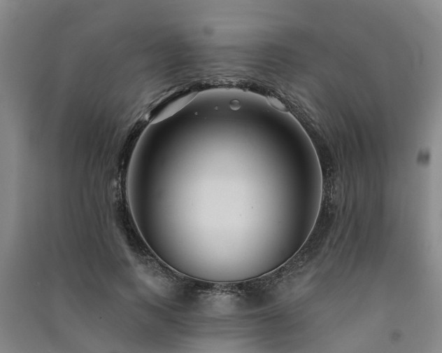 X0000091560743200708171325