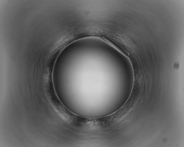 X0000091560744200708171325