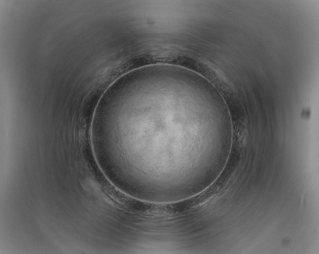 X0000091560745200708171325