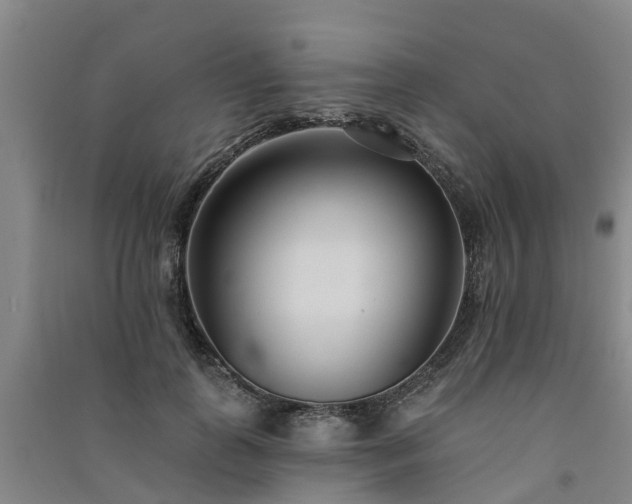 X0000091560747200708171325