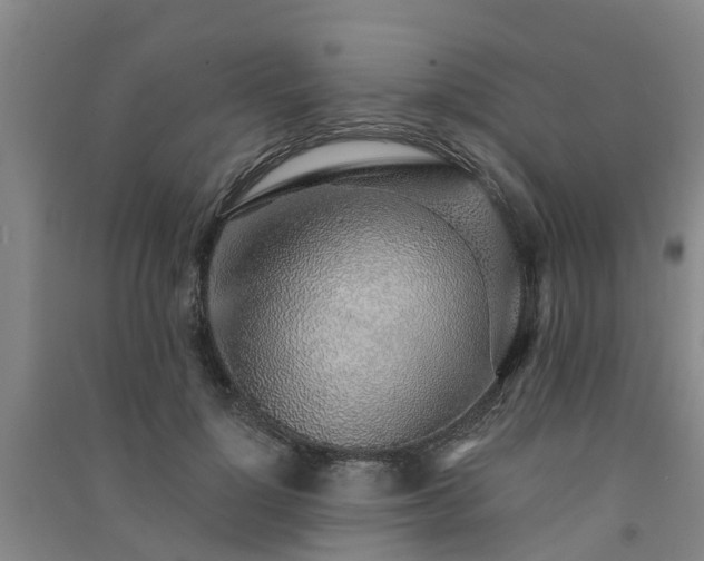 X0000091560748200708171325