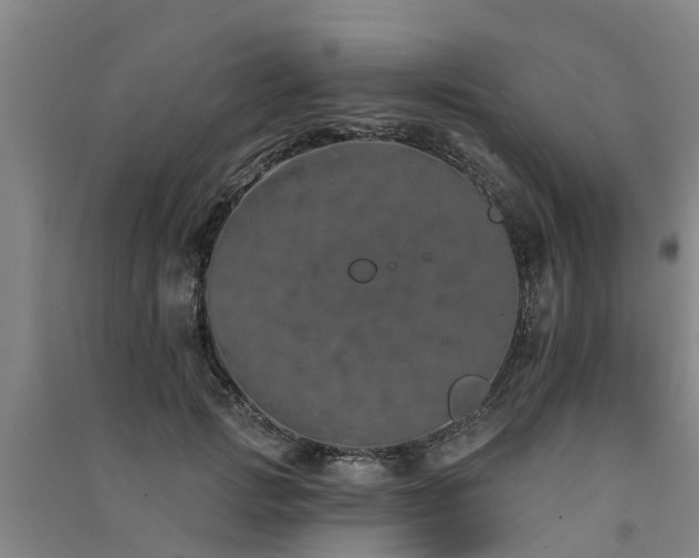 X0000091560749200708171325