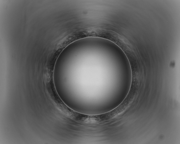 X0000091560751200708171325