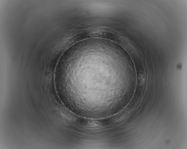 X0000091560753200708171325