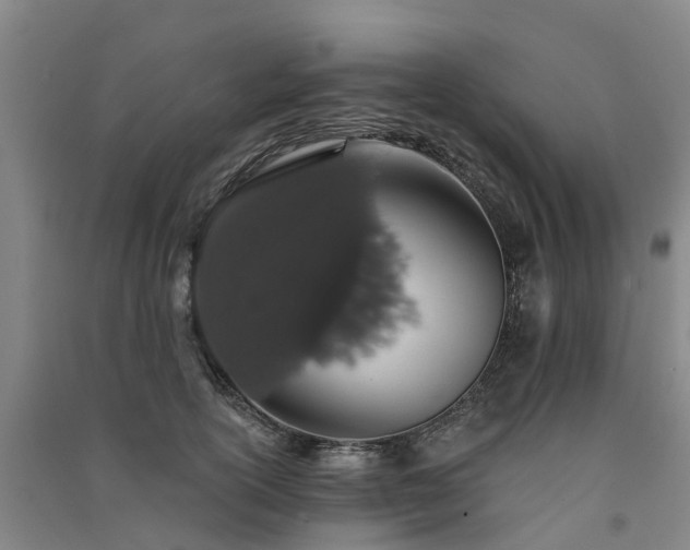 X0000091560754200708171325