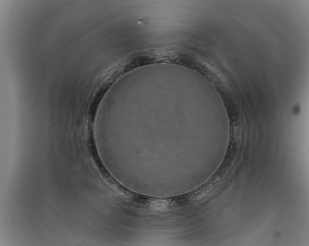 X0000091560757200708171325