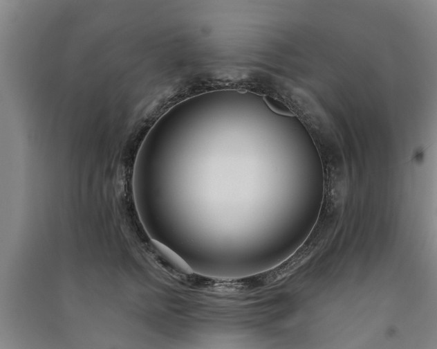 X0000091560758200708171325