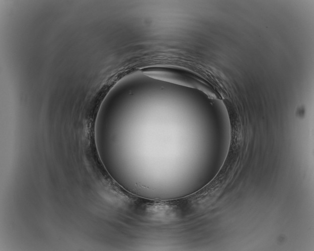 X0000091560759200708171325