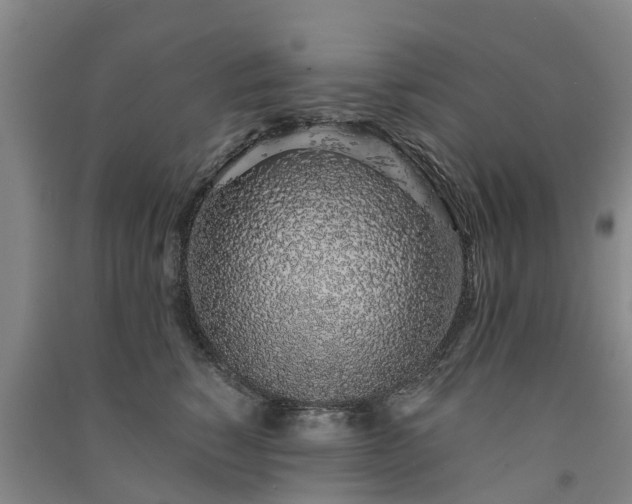 X0000091560760200708171325