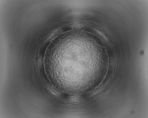 X0000091560761200708171325