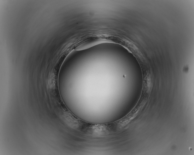 X0000091560762200708171325