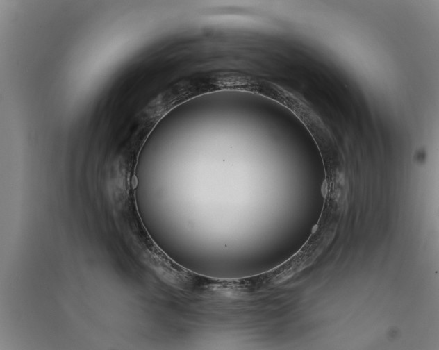 X0000091560763200708171325