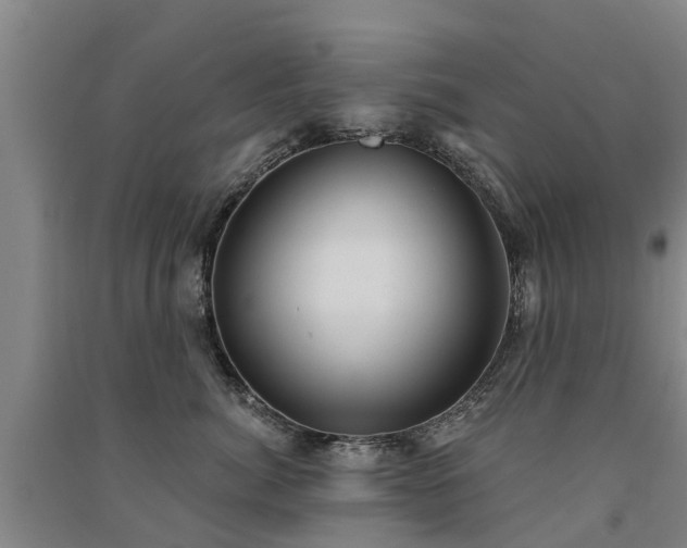 X0000091560764200708171325