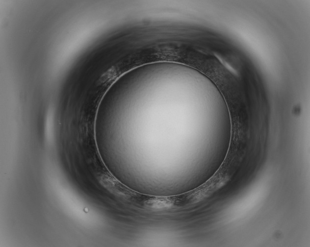 X0000091560765200708171325