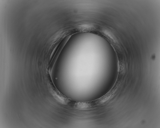 X0000091560766200708171325