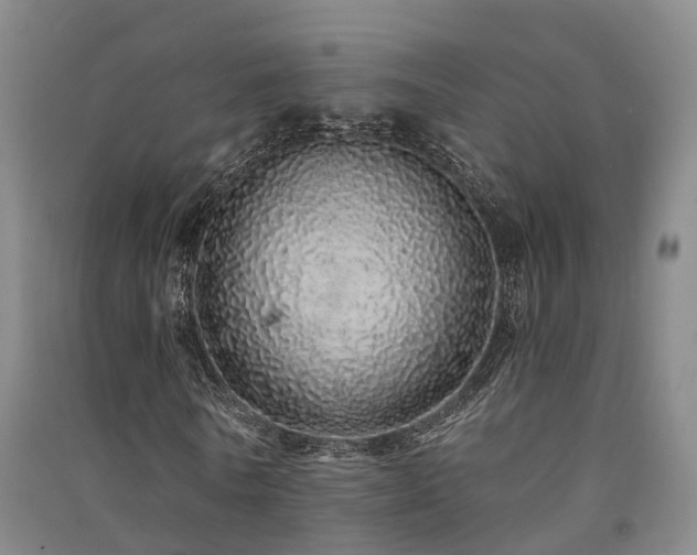 X0000091560770200708171325