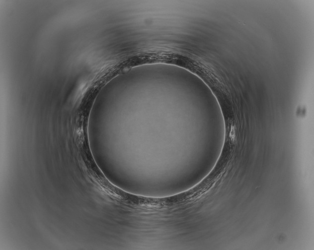 X0000091560771200708171325