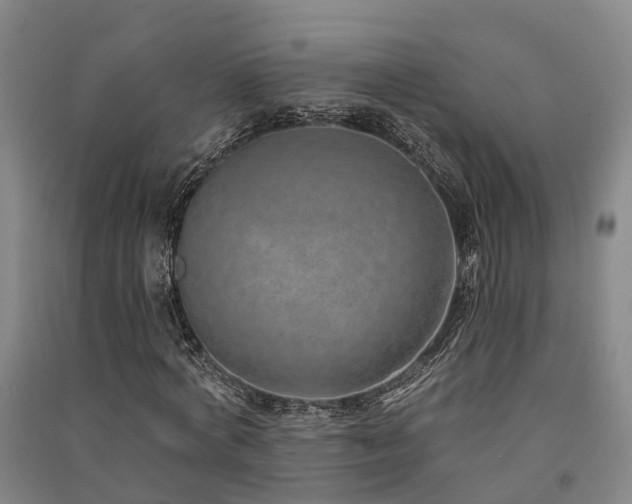 X0000091560772200708171325