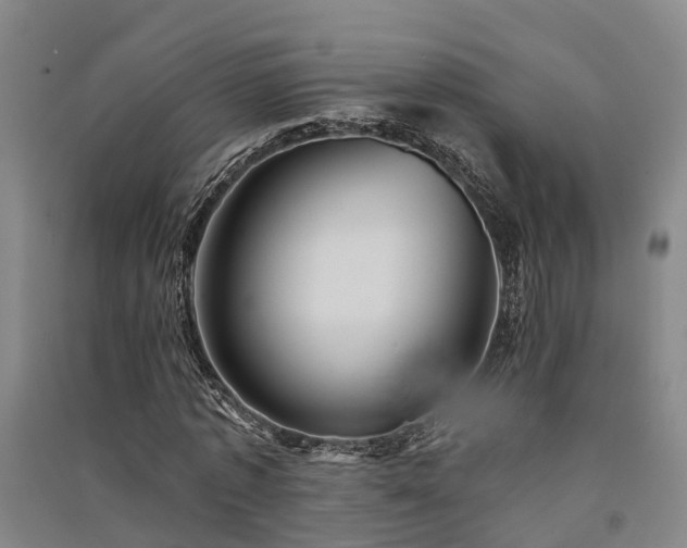 X0000091560773200708171325