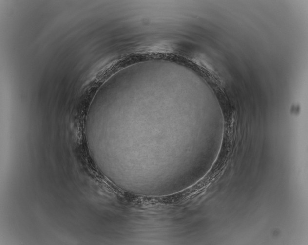 X0000091560774200708171325