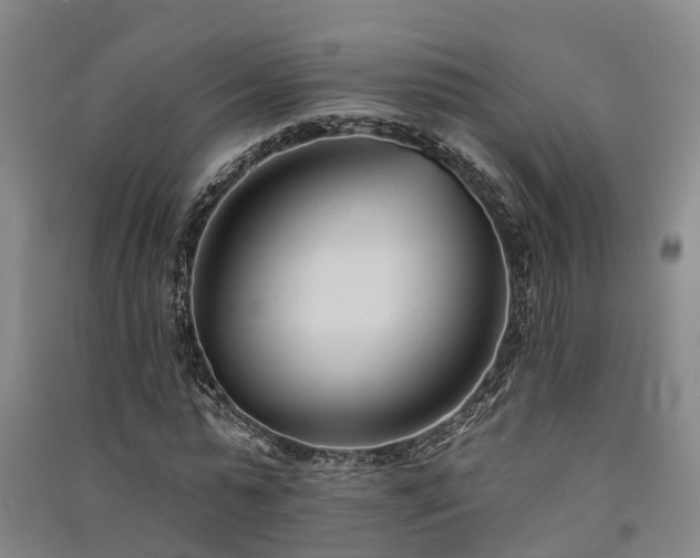 X0000091560775200708171325