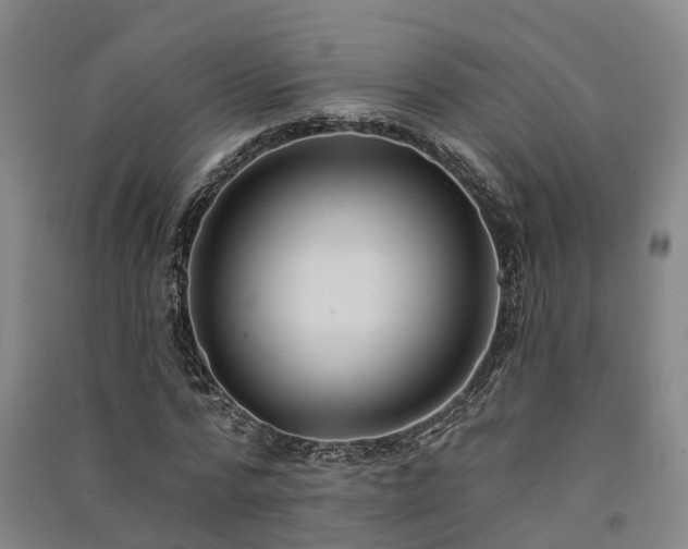 X0000091560776200708171325